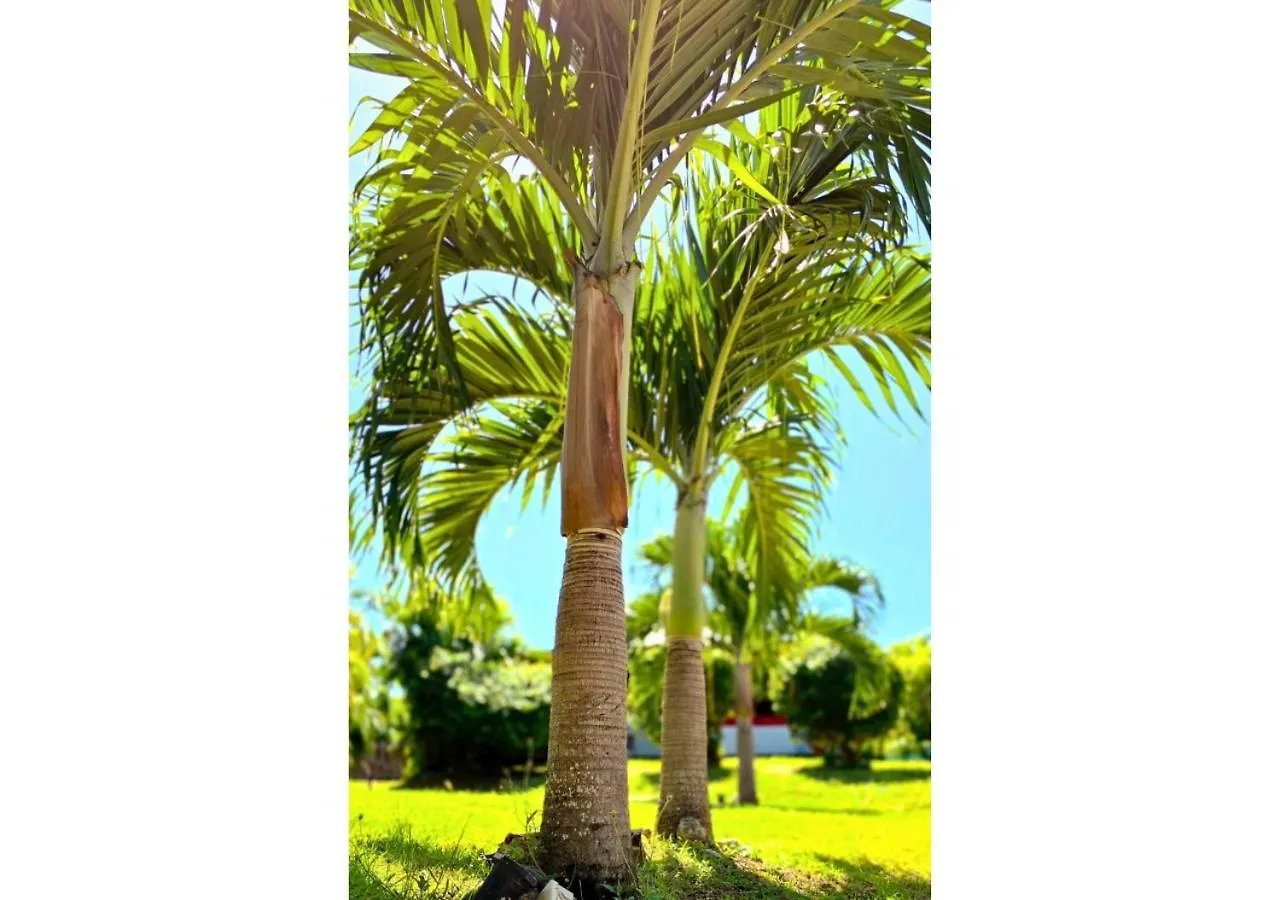Maison Bougainvillier - Saint-Francois 0*, Saint-Francois (Grande-Terre) Guadeloupe