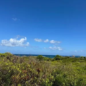 Maison Bord De A 100 M Saint-Francois (Grande-Terre)